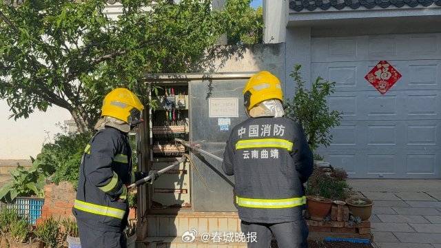 一條菜花蛇鉆進(jìn)電表箱:電表計量箱