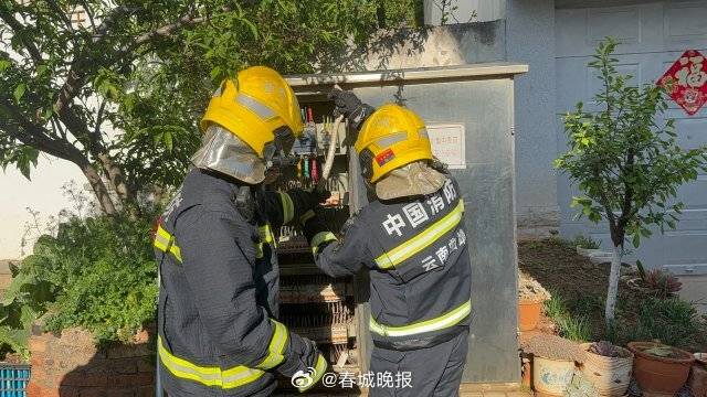 一條菜花蛇鉆進(jìn)電表箱:電表計量箱