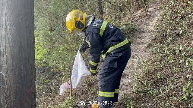 一條菜花蛇鉆進(jìn)電表箱:電表計量箱
